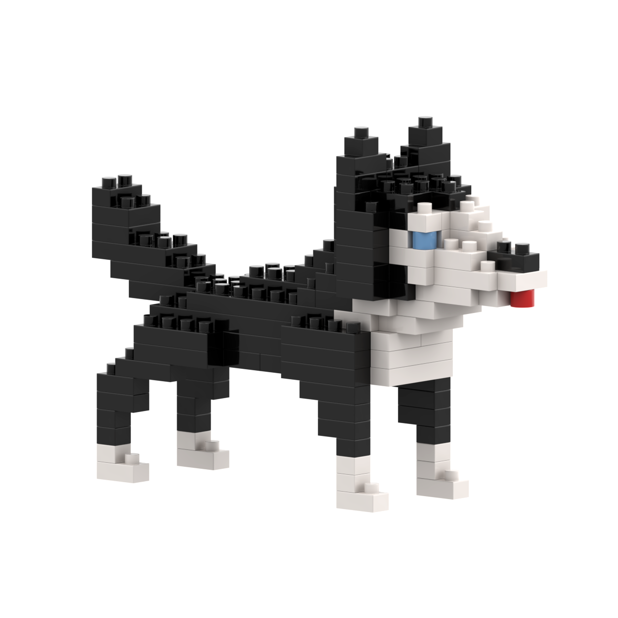 BRIXIES Husky