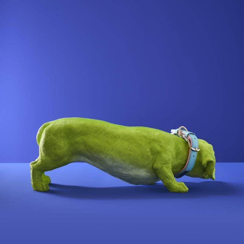 Dachshund Dog Wilfried M. Collar, Green Poly Resin