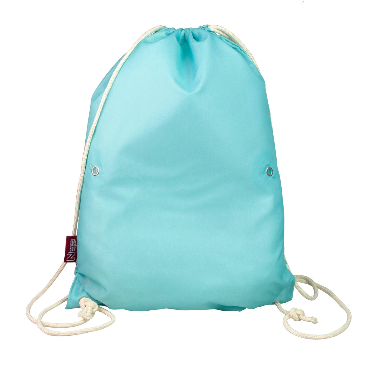 Dinosaur Training Bag (Natural History Museum Edition)