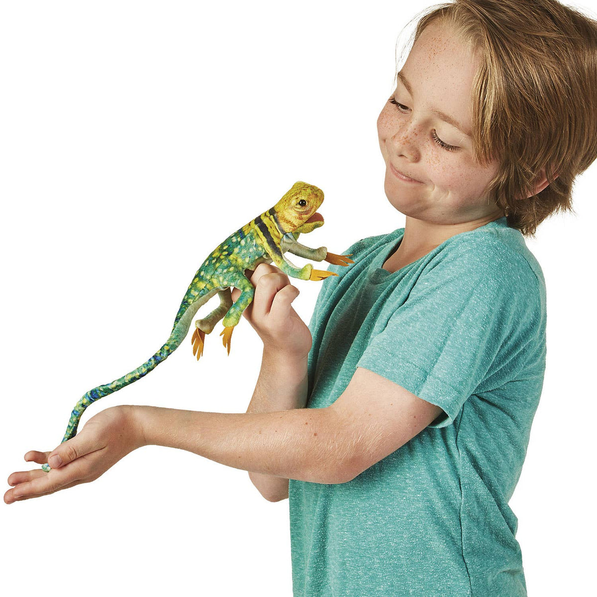 Finger puppet of a collared lizard