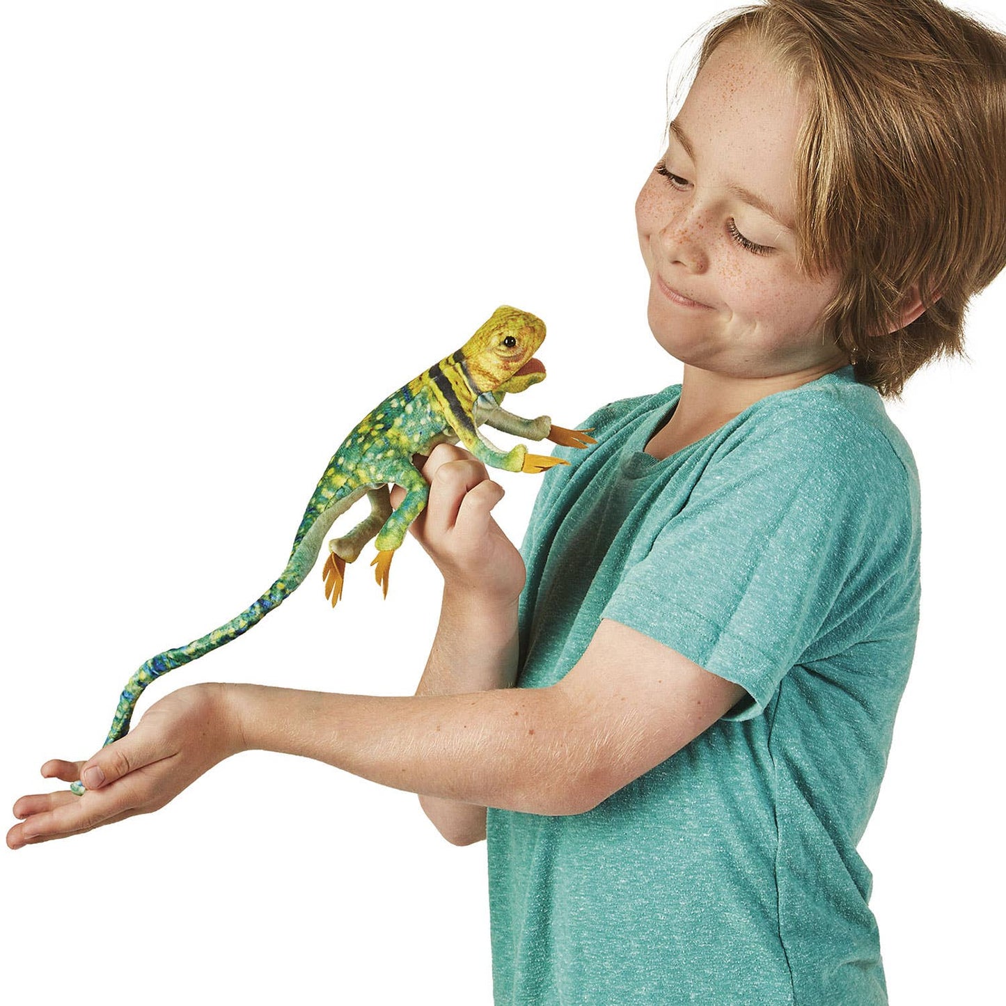 Marionnette à main Mini lézard à collier/Mini lézard 2798 Folkmanis réaliste