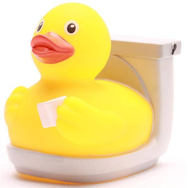 Duck toilet cleaner
