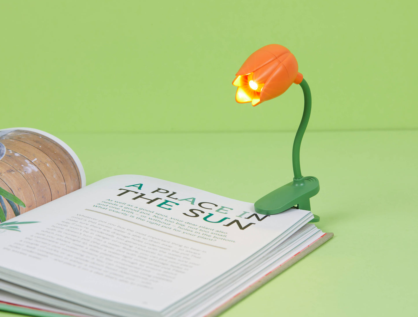 Orange Tulip Reading Light