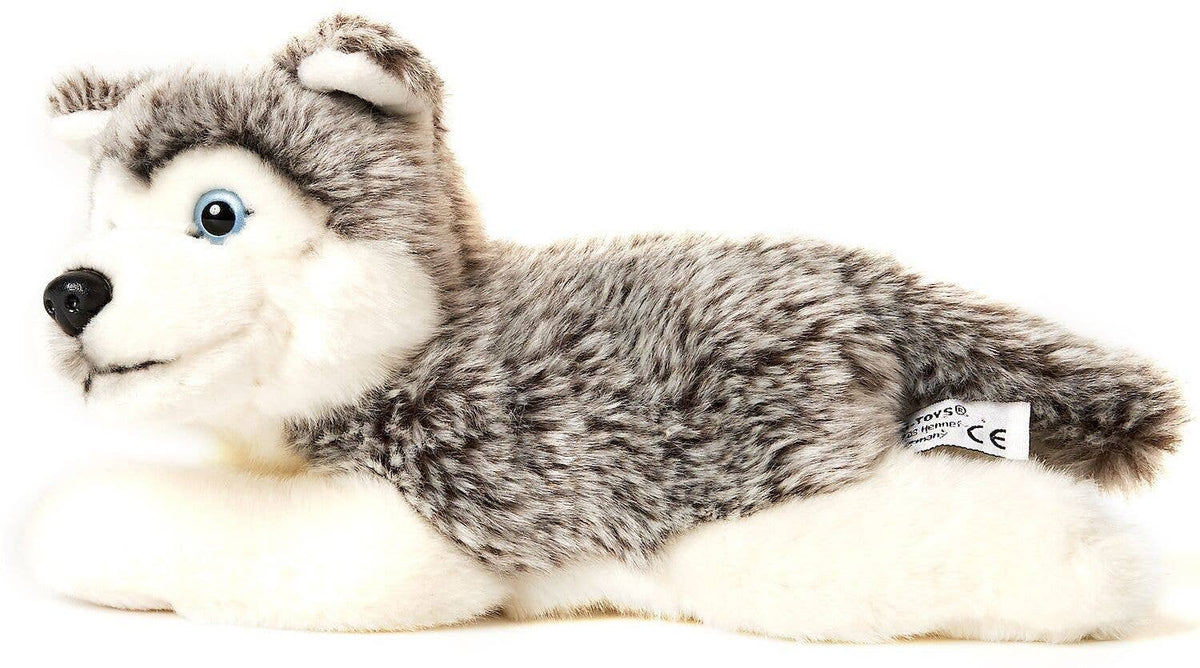 Plush husky puppy, grey, lying down