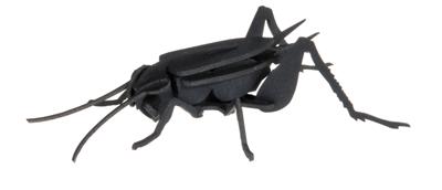 Heuschrecke