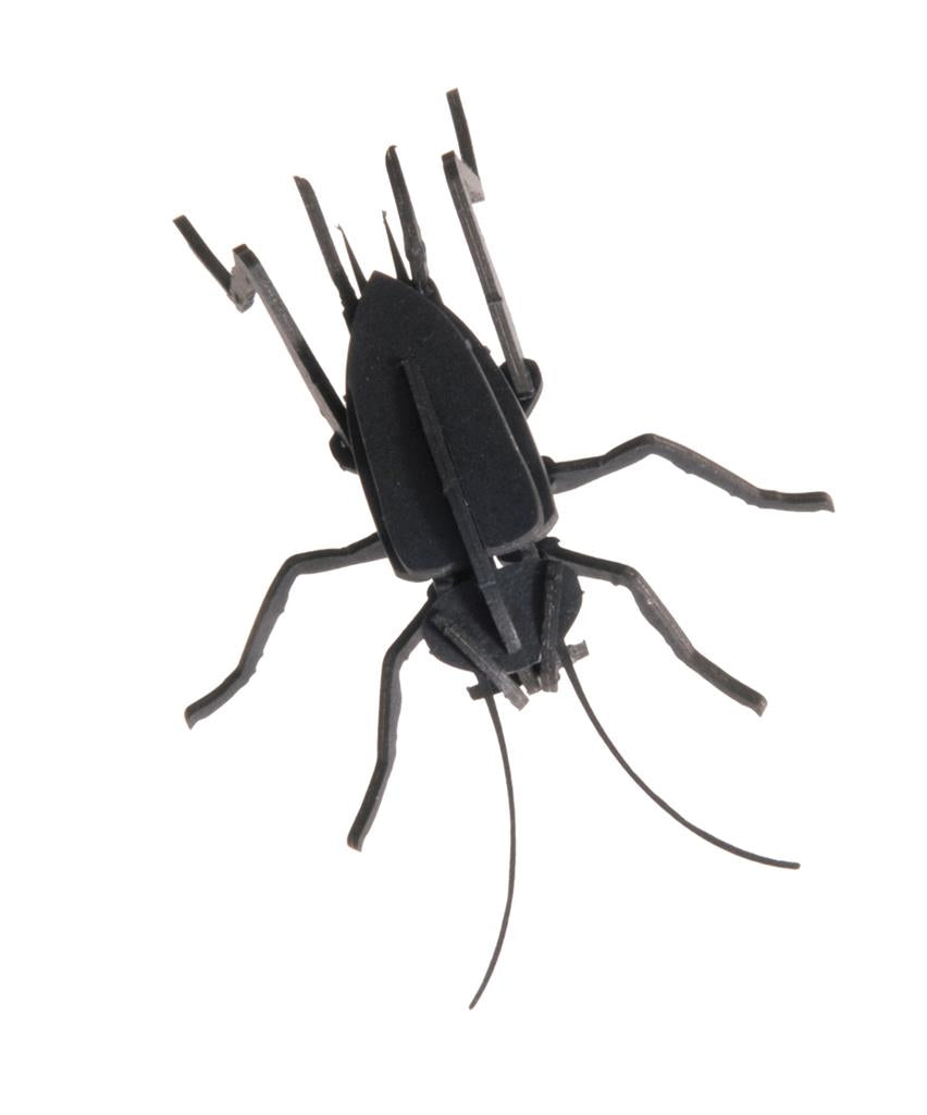 Modèle En Papier 3D - Criquet