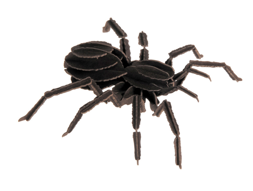 3D-Papiermodell - Tarantule