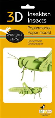 3D Paper Model - Grasshopper