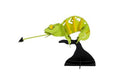 Modèle en Papier 3D - Caméléon