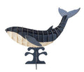 3D-Papiermodell - Wal Bleue