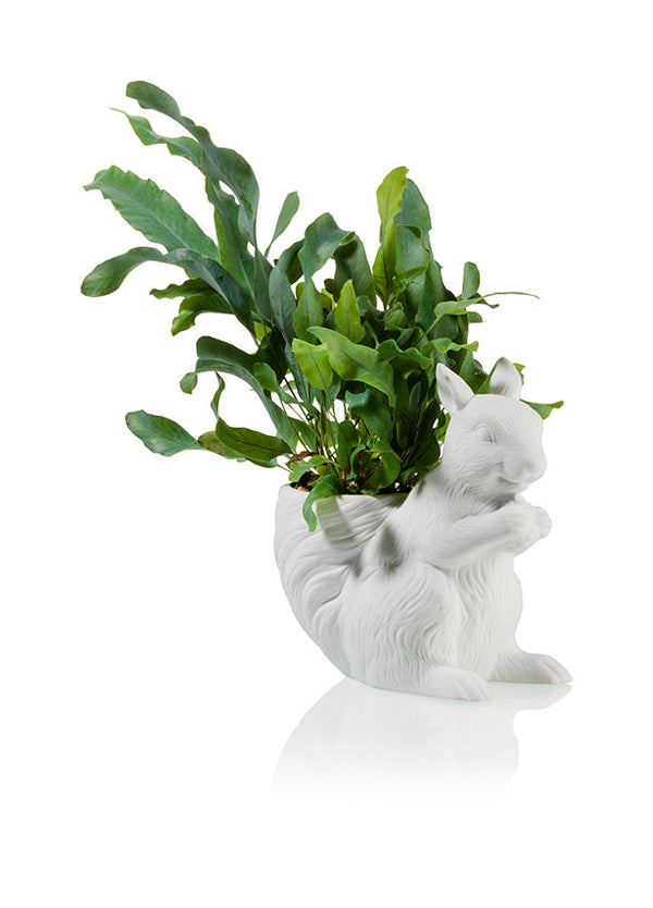 Pot de Fleur Écureuil – Bitten