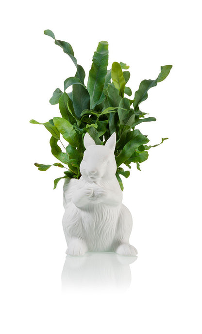 Squirrel Planter