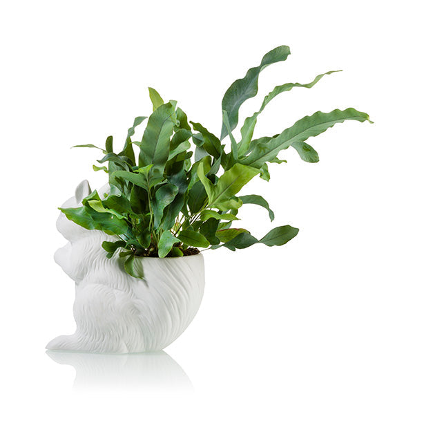 Squirrel Planter