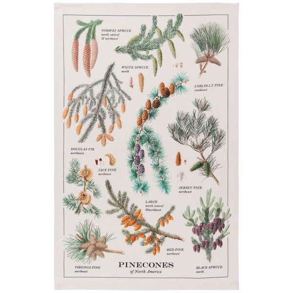 Pinecones dish towel