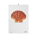 Jacques de Schelp Vaatdoek