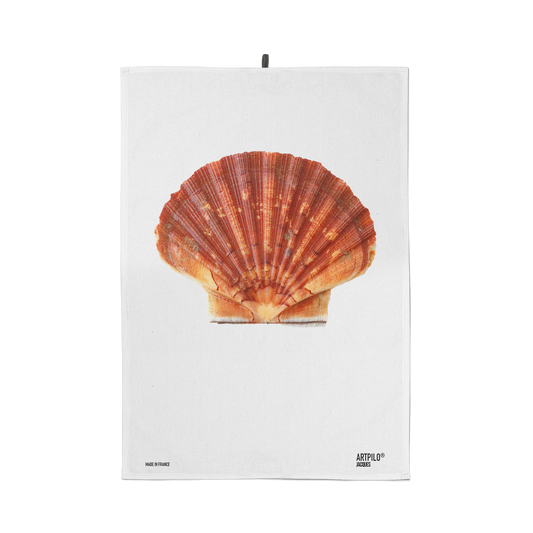 Jacques the Shell Dishcloth