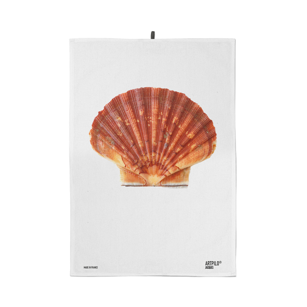 Jacques the Shell Dishcloth