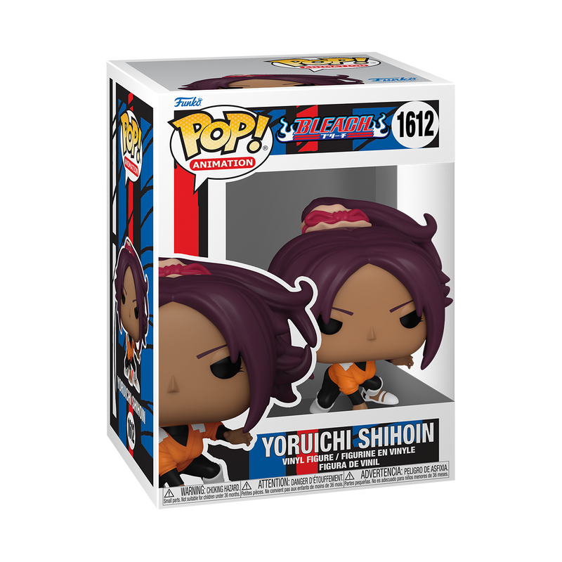 Knal! Yoruichi Shihoin