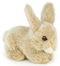 Peluche Lapin Beige Couché