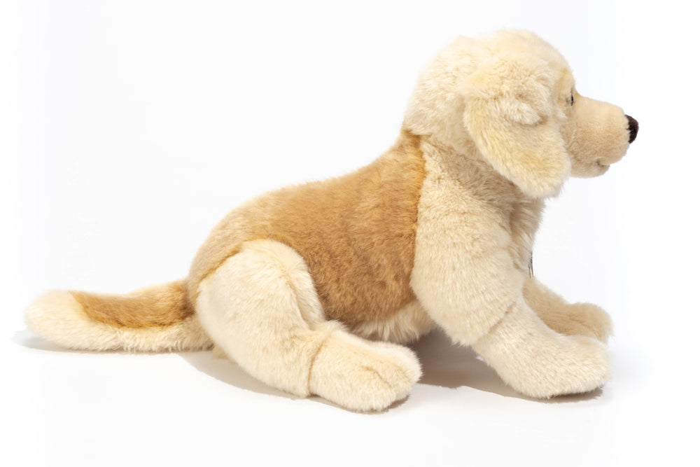 Peluche Golden Retriever Assis – 30 cm