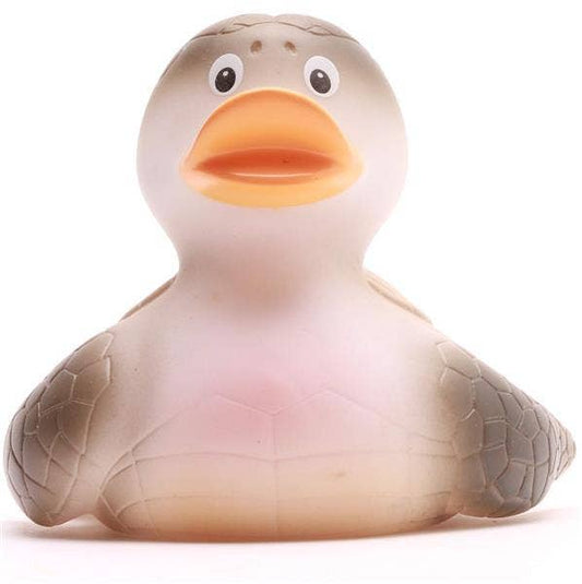 Canard tortue de mer