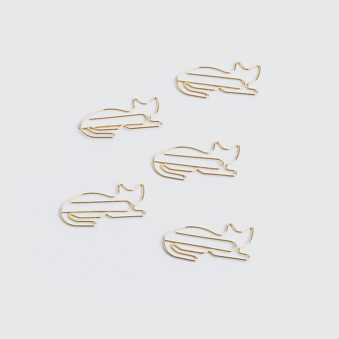 Trombones Chat et Chien
