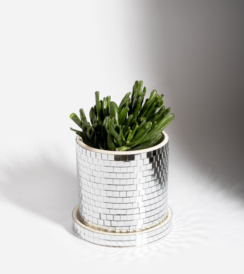 Disco plantenpot