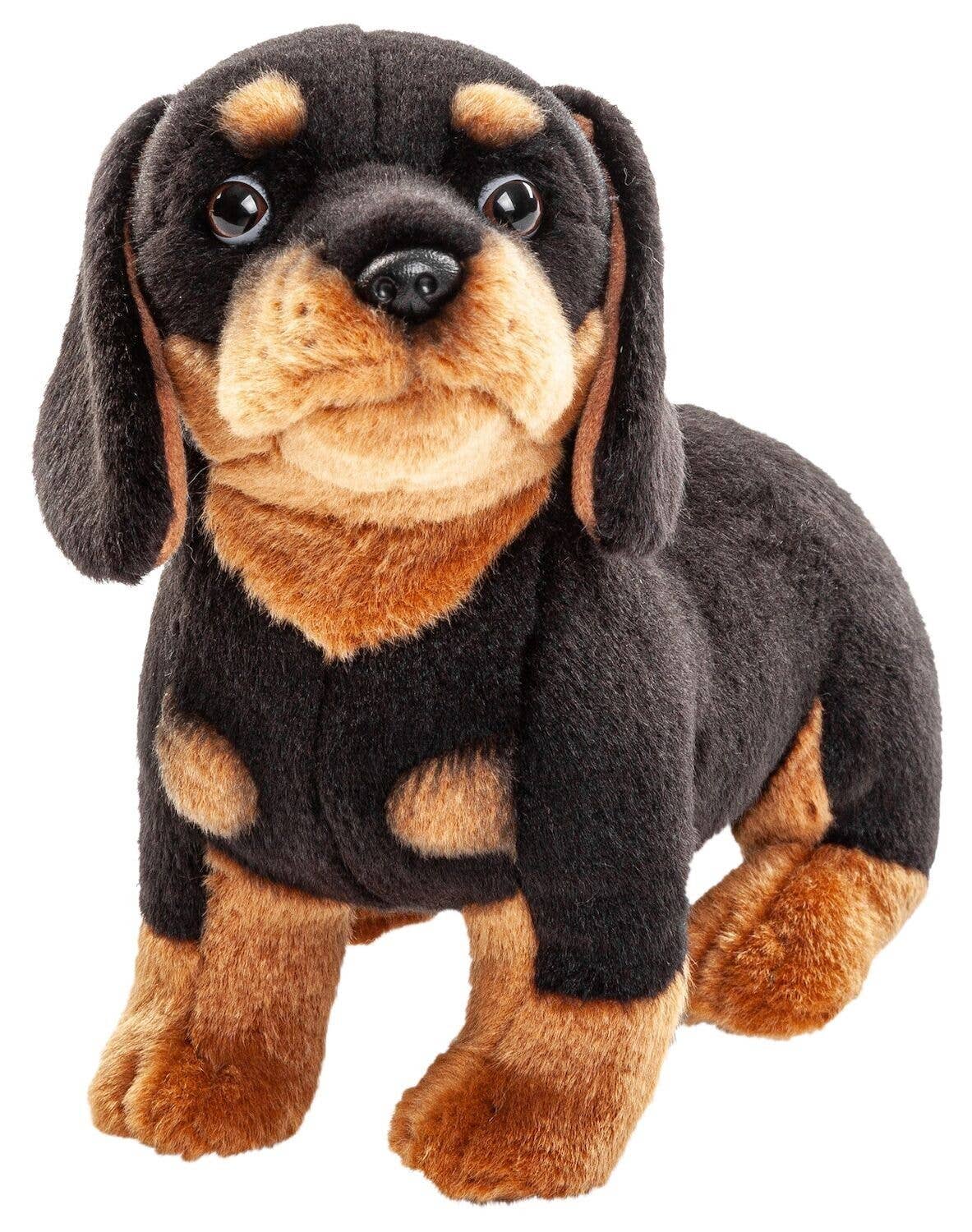 Dachshund plush without leash