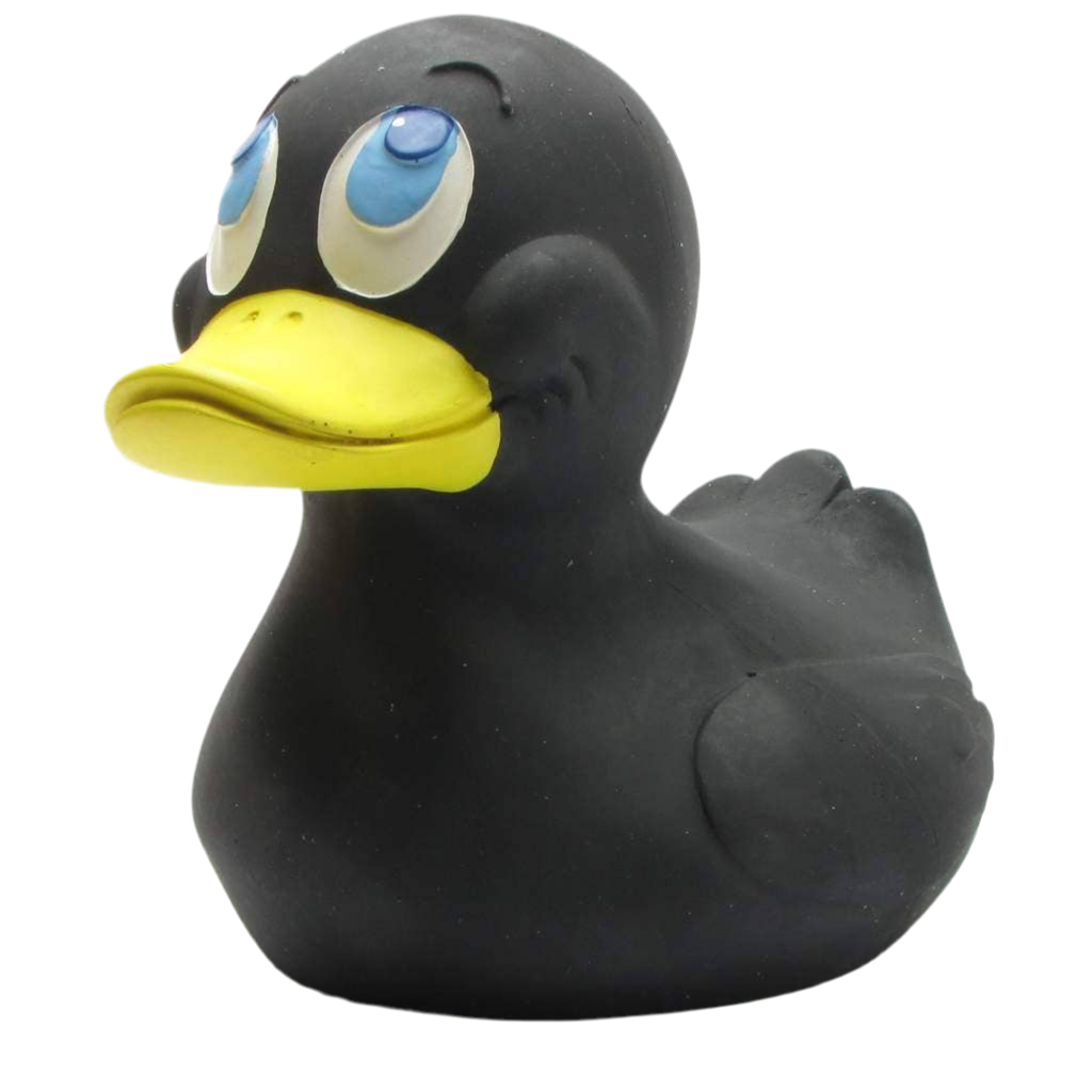 XXL Black Duck