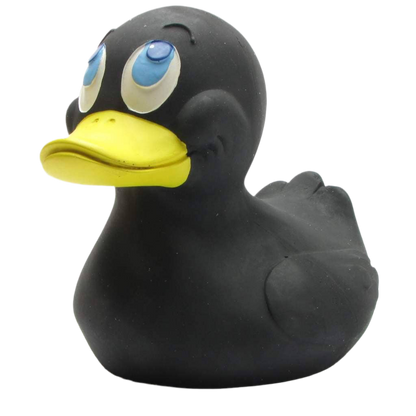 XXL Black Duck