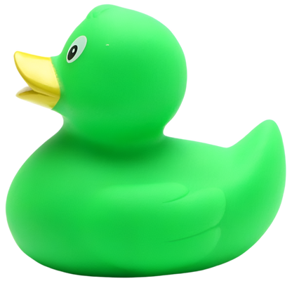 canard classique vert