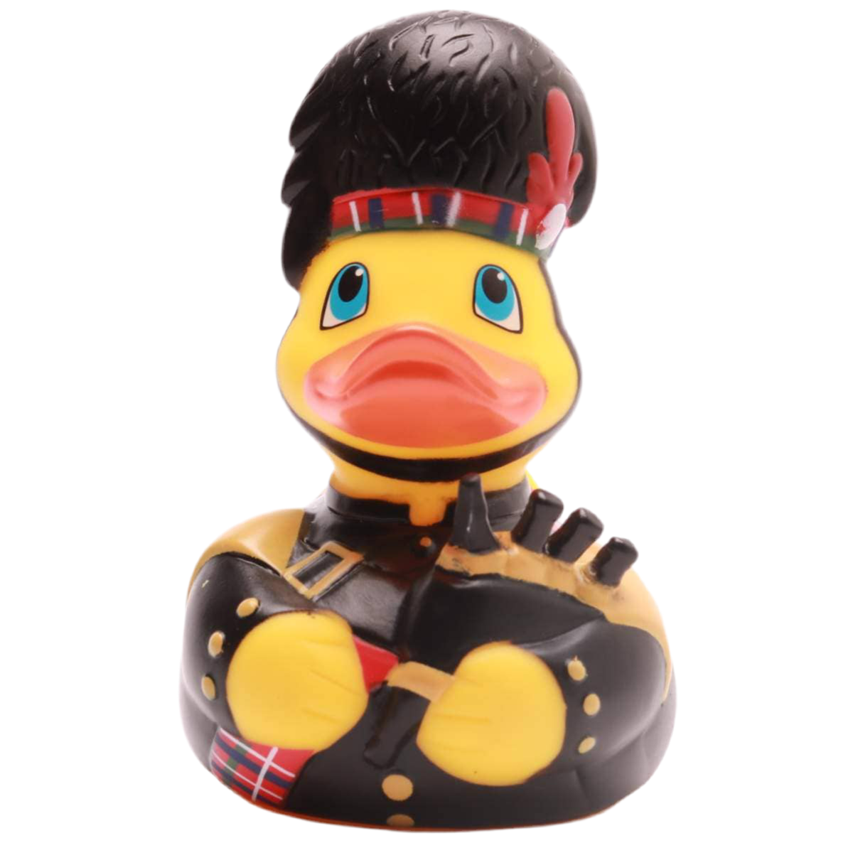 Scottish Duck