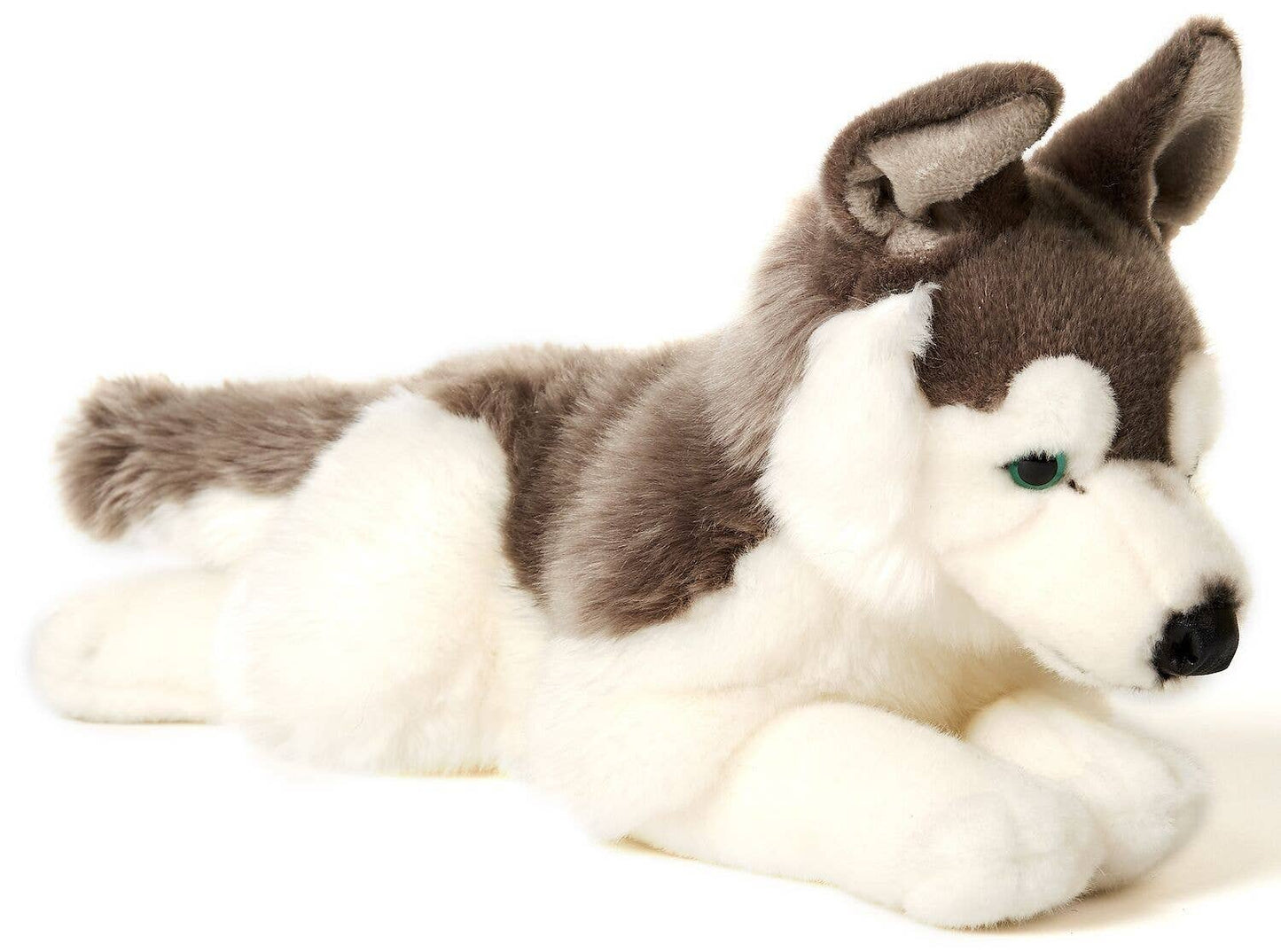 Peluche Husky gris couché