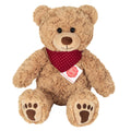Teddy Curtis with Scarf Plush