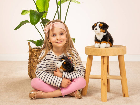 Peluche Bouvier Bernois assis