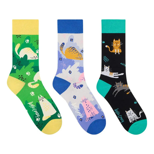 Original pack of 3 pairs of cat-patterned socks with Kitten box