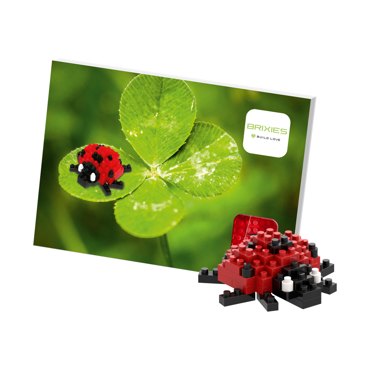 Brixies ladybug postcard