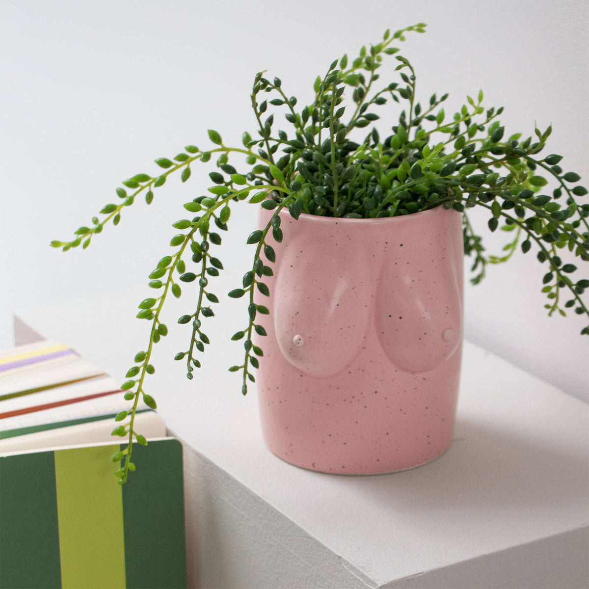 Pink Breast Vase