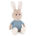 Lucas le Lapin en Peluche - 20cm