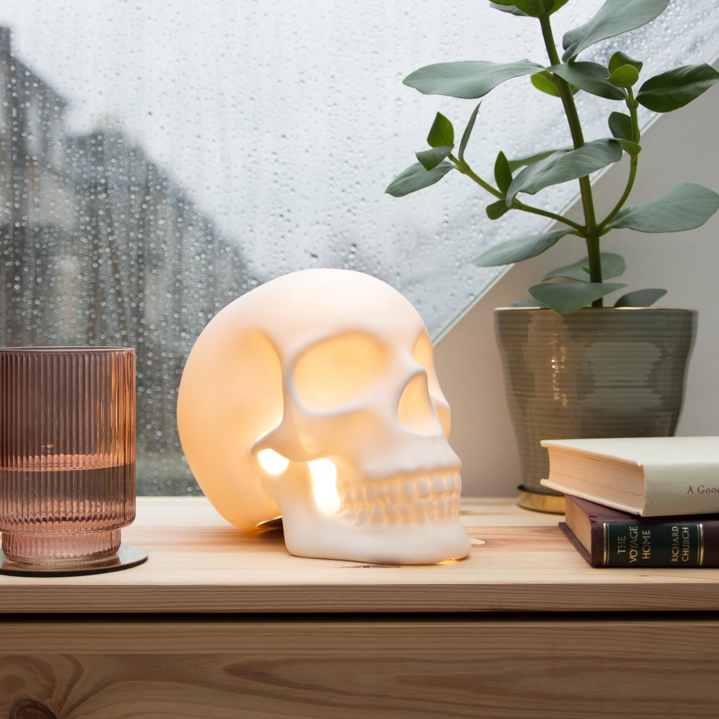 Skull Lamp