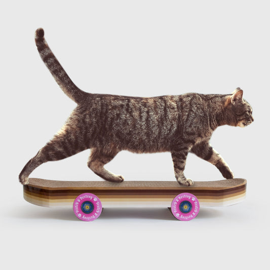 Skateboard de grattage pour chat