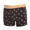 Boxer Chameau