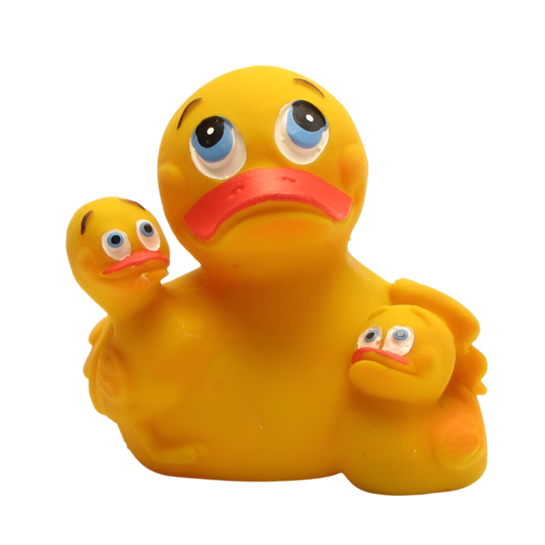 Duck Mom