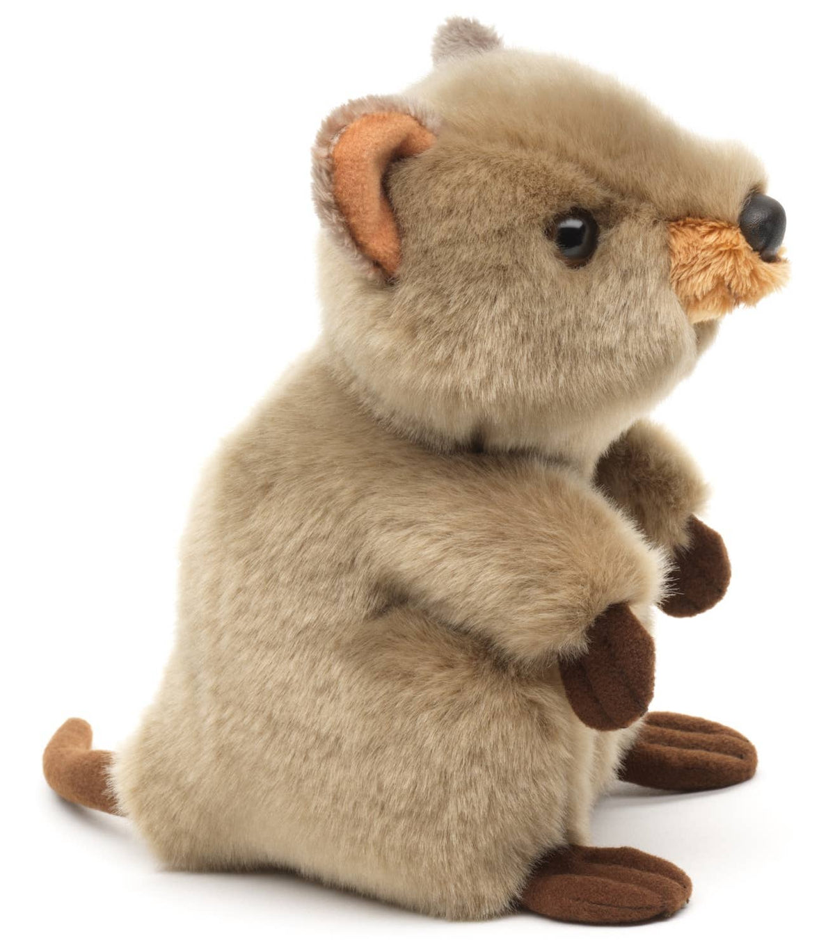 Quokka plush