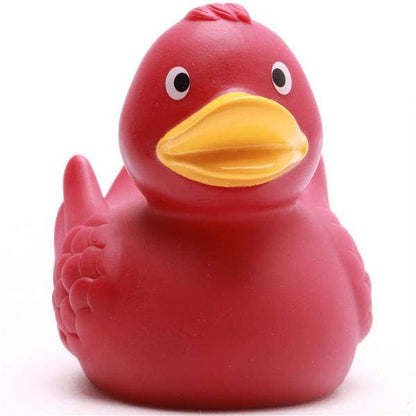 Duck with wings Bordeaux