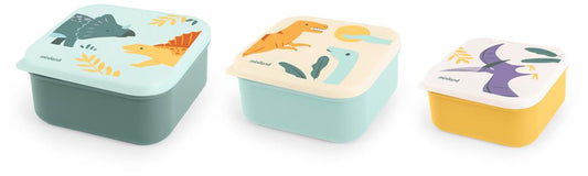 Dinosaur Lunch Box