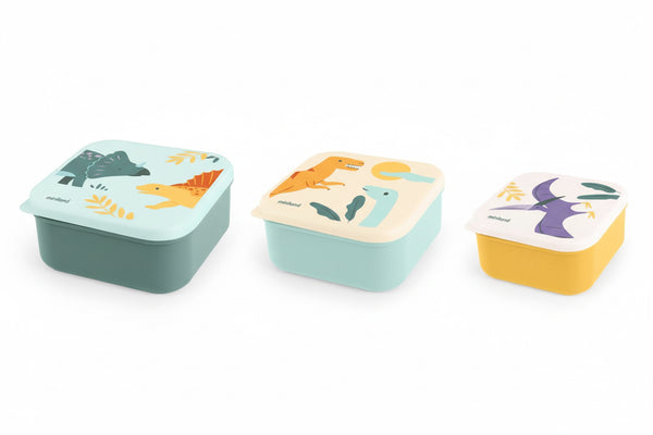 Dinosaur Lunch Box