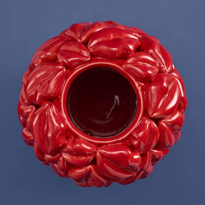 Red Lips Vase