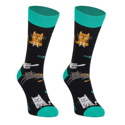 Original pack of 3 pairs of cat-patterned socks with Kitten box