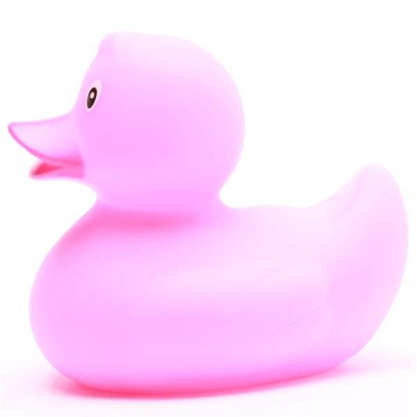 canard classique rose 1